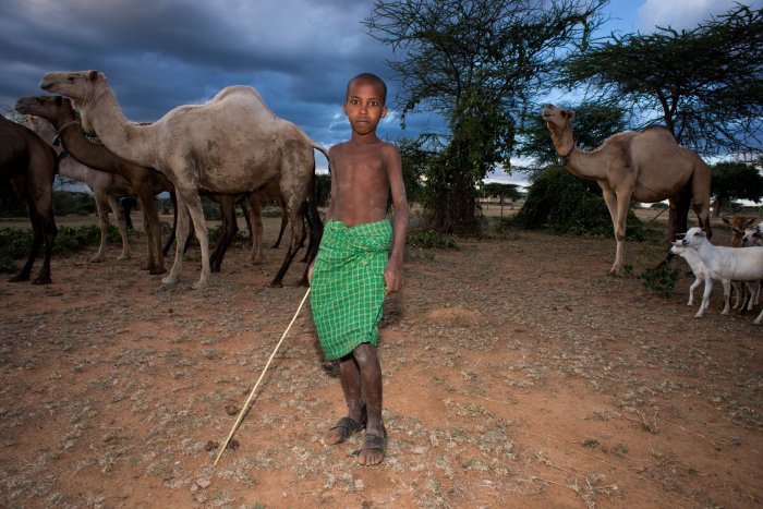 Lchekutis, Maasai Child Shepherds